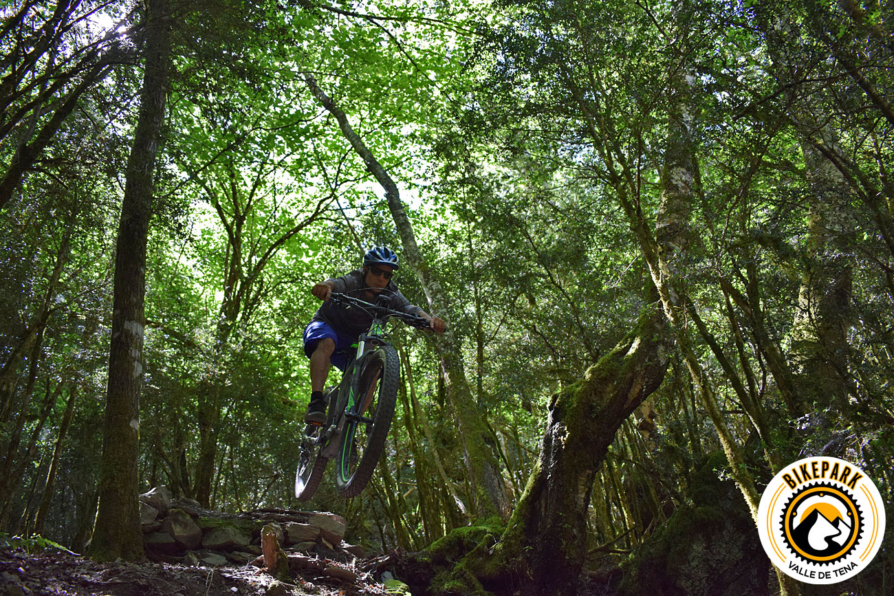 Ciclista de descenso entre los árboles