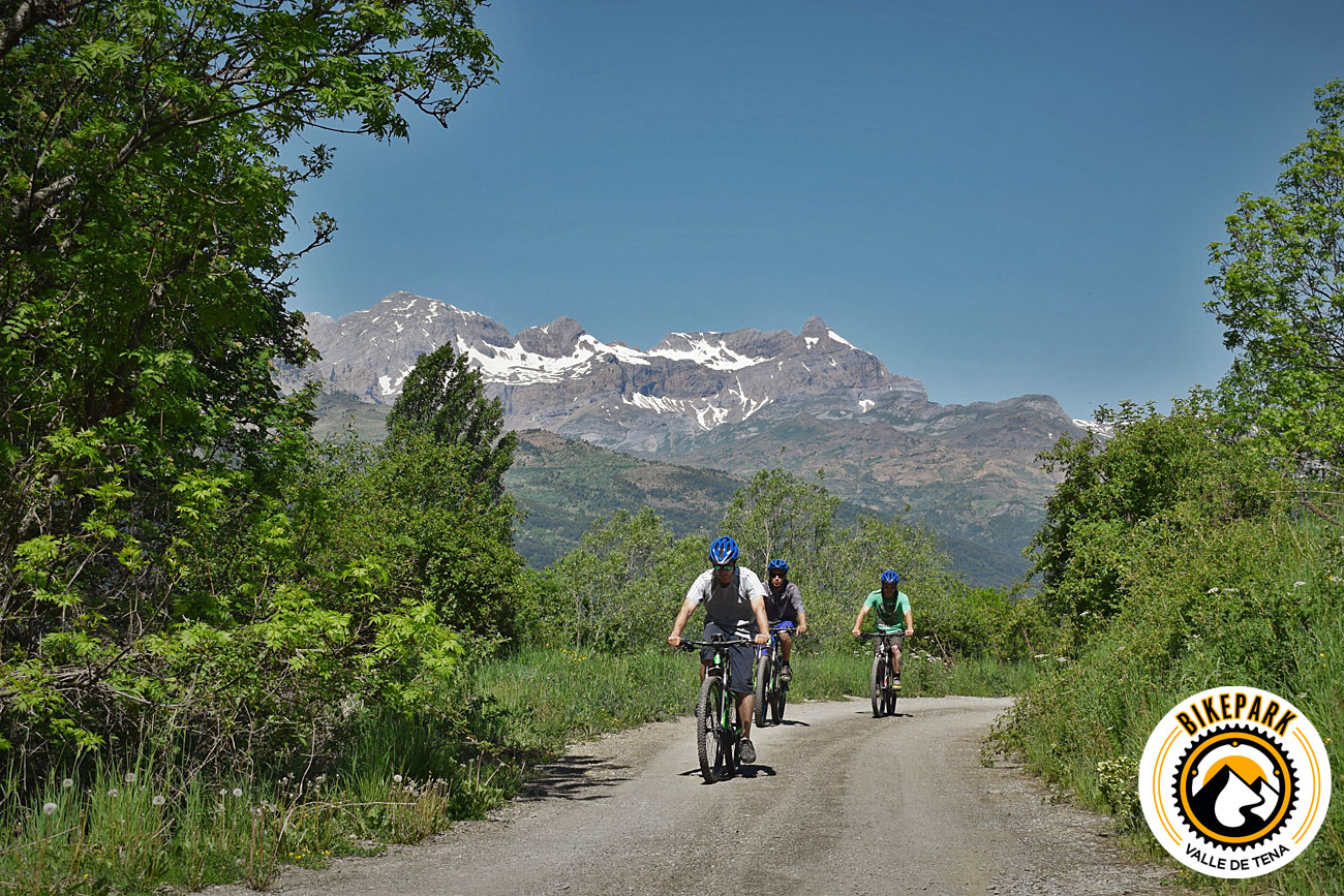 Grupo de ciclistas en una pista de montaña