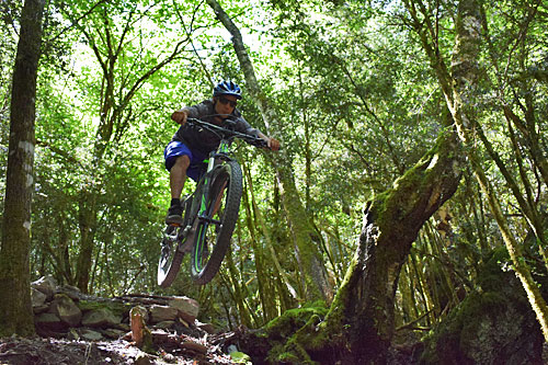 Remontes para DH y BTT